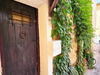 Ma-Cabane - Vente Maison TRANS-EN-PROVENCE, 87 m²