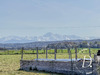 Ma-Cabane - Vente Maison Trie-sur-Baïse, 168 m²