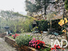 Ma-Cabane - Vente Maison Triel-sur-Seine, 115 m²