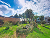 Ma-Cabane - Vente Maison Trouville-la-Haule, 82 m²