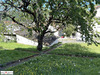 Ma-Cabane - Vente Maison TULLE, 115 m²