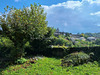 Ma-Cabane - Vente Maison TULLE, 118 m²