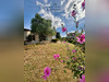 Ma-Cabane - Vente Maison Tupin-et-Semons, 148 m²