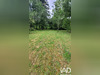 Ma-Cabane - Vente Maison Ussy-sur-Marne, 90 m²