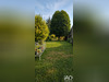 Ma-Cabane - Vente Maison Ussy-sur-Marne, 105 m²