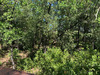 Ma-Cabane - Vente Maison Uzès, 120 m²