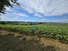 Ma-Cabane - Vente Maison Valence, 214 m²