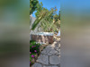 Ma-Cabane - Vente Maison VALRAS PLAGE, 169 m²