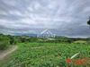 Ma-Cabane - Vente Maison Vars-sur-Roseix, 131 m²
