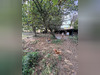 Ma-Cabane - Vente Maison Vatteville-la-Rue, 155 m²