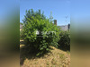 Ma-Cabane - Vente Maison Vautorte, 130 m²