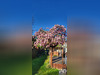 Ma-Cabane - Vente Maison Vélizy-Villacoublay, 90 m²