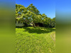 Ma-Cabane - Vente Maison VENESMES, 106 m²