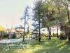 Ma-Cabane - Vente Maison VENTABREN, 180 m²