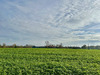 Ma-Cabane - Vente Maison Verlinghem, 171 m²