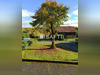 Ma-Cabane - Vente Maison Verneugheol, 105 m²