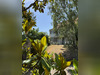Ma-Cabane - Vente Maison VERSAILLES, 190 m²