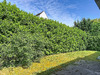 Ma-Cabane - Vente Maison VERSAILLES, 193 m²
