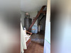 Ma-Cabane - Vente Maison VEULES-LES-ROSES, 75 m²