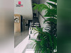 Ma-Cabane - Vente Maison VIDAUBAN, 135 m²