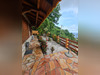 Ma-Cabane - Vente Maison Vieux-Fort, 150 m²