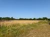Ma-Cabane - Vente Maison VIGNOC, 250 m²