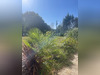 Ma-Cabane - Vente Maison VILDE-GUINGALAN, 99 m²