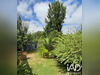 Ma-Cabane - Vente Maison Vildé-Guingalan, 60 m²