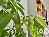 Ma-Cabane - Vente Maison Villebernier, 112 m²