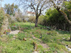 Ma-Cabane - Vente Maison Villefranche-de-Rouergue, 80 m²