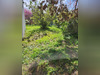 Ma-Cabane - Vente Maison VILLEMOMBLE, 107 m²