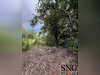 Ma-Cabane - Vente Maison Villenave-d'Ornon, 150 m²