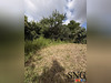 Ma-Cabane - Vente Maison Villenave-d'Ornon, 150 m²