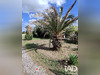 Ma-Cabane - Vente Maison Villenave-d'Ornon, 130 m²
