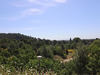 Ma-Cabane - Vente Maison VILLENEUVE LES AVIGNON, 221 m²