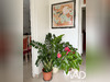 Ma-Cabane - Vente Maison Villeparisis, 117 m²