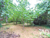 Ma-Cabane - Vente Maison Villeparisis, 158 m²