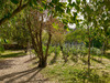Ma-Cabane - Vente Maison VILLERS-SOUS-MONTROND, 199 m²