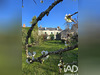 Ma-Cabane - Vente Maison Vineuil, 164 m²