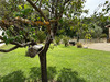 Ma-Cabane - Vente Maison VINON-SUR-VERDON, 80 m²