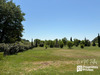 Ma-Cabane - Vente Maison VISAN, 300 m²
