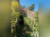 Ma-Cabane - Vente Maison Vouneuil-sous-Biard, 158 m²