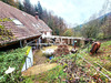 Ma-Cabane - Vente Maison Wangenbourg-Engenthal, 155 m²