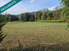Ma-Cabane - Vente Maison Wegscheid, 85 m²
