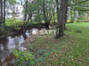 Ma-Cabane - Vente Maison Wiseppe, 91 m²