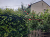 Ma-Cabane - Vente Maison Zillisheim, 90 m²