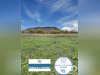 Ma-Cabane - Vente Terrain Éloise, 760 m²