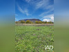 Ma-Cabane - Vente Terrain Éloise, 760 m²