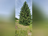 Ma-Cabane - Vente Terrain Épinal, 2703 m²