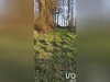 Ma-Cabane - Vente Terrain Épreville, 1640 m²